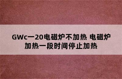 GWc一20电磁炉不加热 电磁炉加热一段时间停止加热